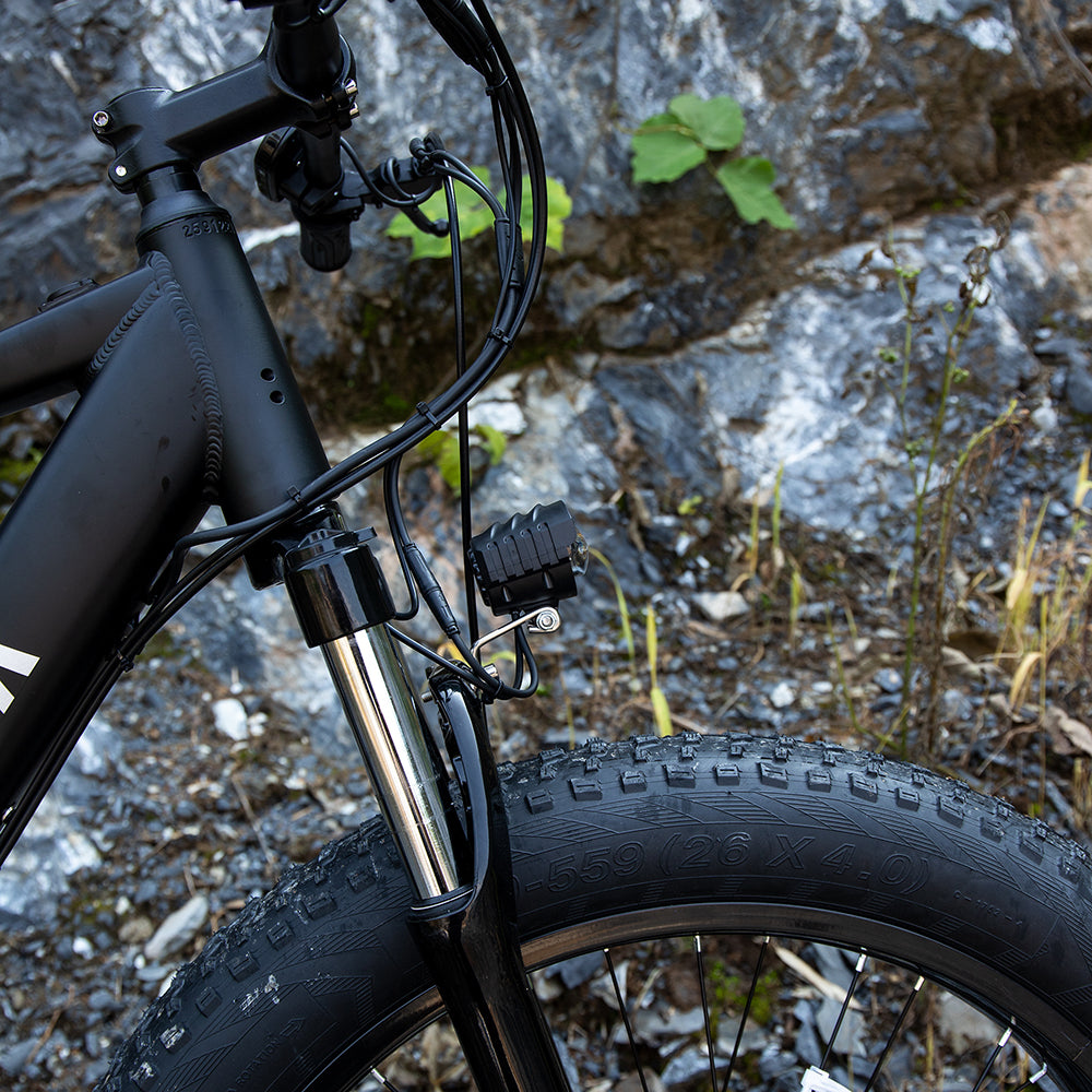 Bicicleta eléctrica profesional para adultos, bicicleta de montaña eléctrica con neumáticos anchos de 26 x 4 pulgadas, motor de 1000 W, batería de 48 V y 15 Ah, ideal para rutas, excursiones y desplazamientos diarios. Certificación UL y GCC.