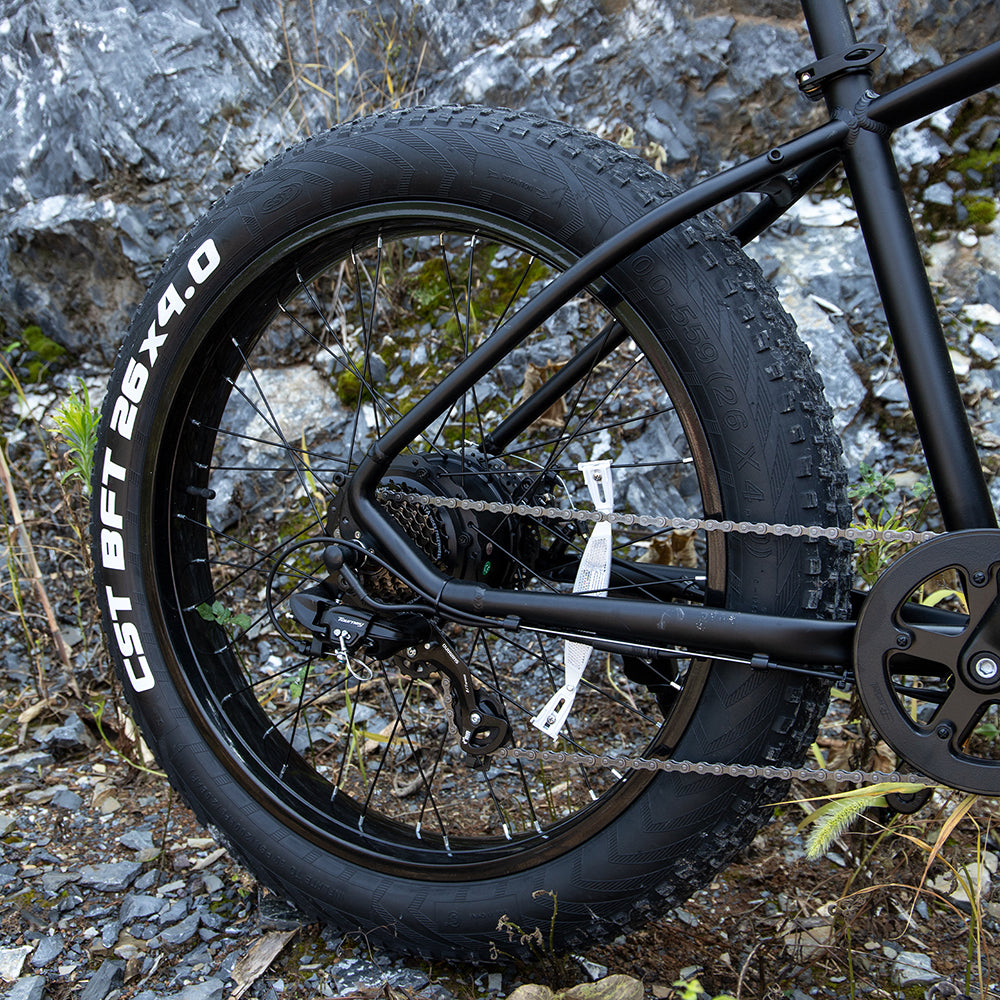 Bicicleta eléctrica profesional para adultos, bicicleta de montaña eléctrica con neumáticos anchos de 26 x 4 pulgadas, motor de 1000 W, batería de 48 V y 15 Ah, ideal para rutas, excursiones y desplazamientos diarios. Certificación UL y GCC.